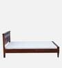 Kamchini Sheesham Wood Queen Size Bed In Scratch Resistant Honey Oak Finish