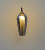 Kania Metal & Glass Wall Light (Brass & Wood)