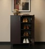 Karatsu 2 Door Shoe Cabinet in Wenge Finish