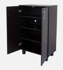 Karatsu 2 Door Shoe Cabinet in Wenge Finish