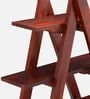 Kassel Accent Bookshelf Showcases Display Unit In Honey Finish