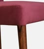 Kastav Acacia Wood Dining Chair In Rose Pink Colour ( Set of 2 )