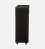 Kawaguchi 15-Pairs Shoe Cabinet In Wenge Finish