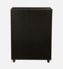 Kawaguchi 15-Pairs Shoe Cabinet In Wenge Finish