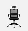 Kaya  Breathable Mesh Ergonomic Chair In Black Colour