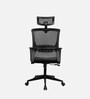 Kaya  Breathable Mesh Ergonomic Chair In Black Colour