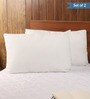 Kaya Microfiber 24 x 16 Inch Pillows (Set of 2)
