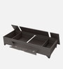 Kaze Single Bed in Wenge Finish