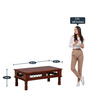 Ekaksh Sheesham Wood Coffee Table In Honey Oak Finish