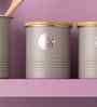 Living Grey Tea Storage Container