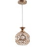 Soomin Gold Metal LED Ceiling Lights