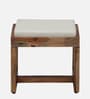Kelty Sheesham Wood Nesting Coffee Table Set in Scratch Resistant Rustic Teak Finish With Cushioned Stools