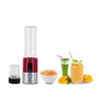 KENT 16042 300W Nutri Blender with 1 Jar