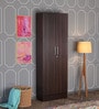 Kenzou 2 Door Wardrobe in Wenge Finish