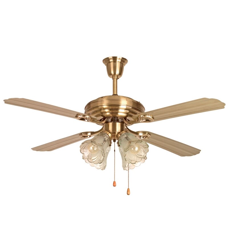 Ceiling Fans 
