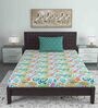Multicolor Abstract 144 TC Cotton Single Bed Sized Bed Sheets With 1 Pillow Cover