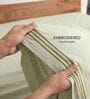 Khaki 210 TC Cotton King Size Bedsheet with 2 Embroidered Pillow Covers