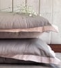 Khaki Solid 300 Tc 100 % Cotton Bedsheet With 2 Pillow Covers 