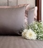 Khaki Solid 300 Tc 100 % Cotton Bedsheet With 2 Pillow Covers 