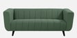 Kiki Fabric 3 Seater Sofa in Sapling Green Colour