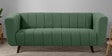 Kiki Fabric 3 Seater Sofa in Sapling Green Colour