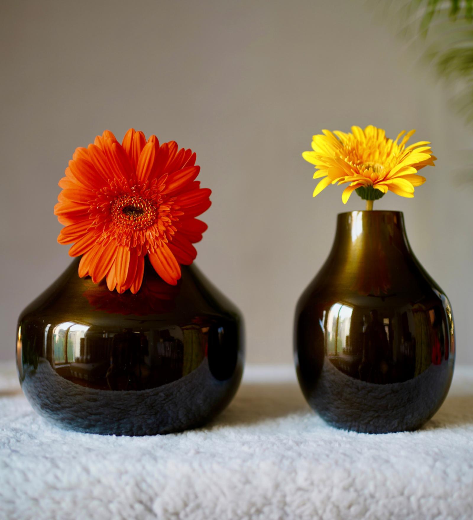 Kipley Brown Iron (Pack of 2) Vases