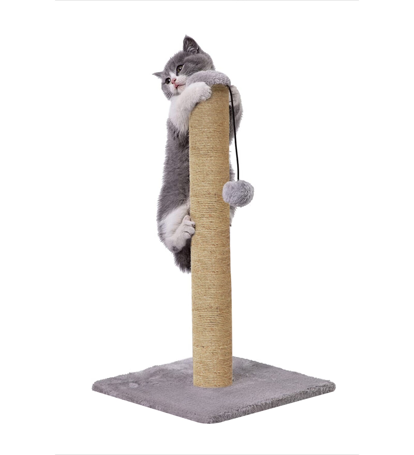 Kitten Scratching Post In Grey Colour