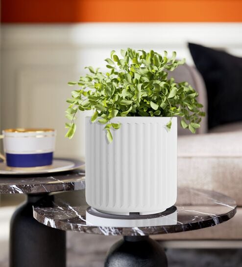 KIA RD White 8 Inch German Polymer Round Plant Container