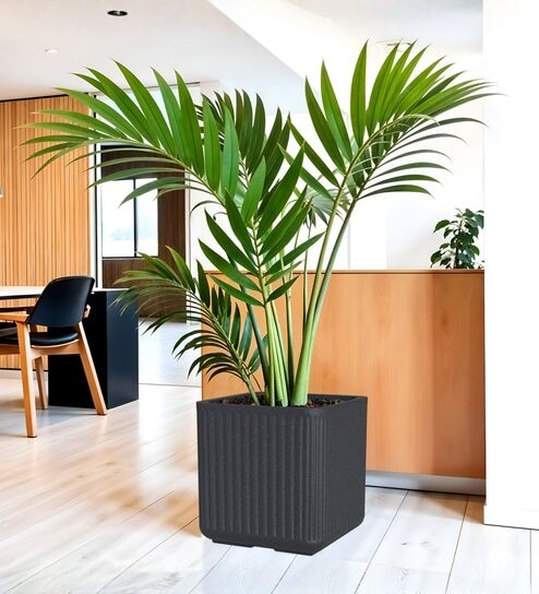 KIA SQ Grey 15 Inch German Polymer Round Plant Container