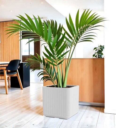 KIA SQ White 15 Inch German Polymer Round Plant Container