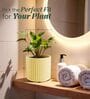 KIA RD Beige 10 Inch German Polymer Round Plant Container