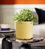 KIA RD Beige 10 Inch German Polymer Round Plant Container