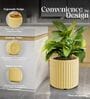 KIA RD Beige 17 Inch German Polymer Round Plant Container