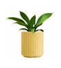 KIA RD Beige 8 Inch German Polymer Round Plant Container