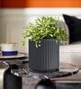 KIA RD Grey 8 Inch German Polymer Round Plant Container