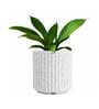 KIA RD Marble White 10 Inch German Polymer Round Plant Container