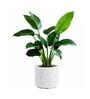 KIA RD Marble White 12 Inch German Polymer Round Plant Container