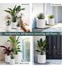 KIA RD Marble White 17 Inch German Polymer Round Plant Container