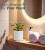 KIA RD Marble White 8 Inch German Polymer Round Plant Container