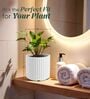 KIA RD White 10 Inch German Polymer Round Plant Container