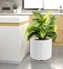 KIA RD White 15 Inch German Polymer Round Plant Container