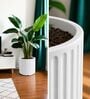 KIA RD White 17 Inch German Polymer Round Plant Container