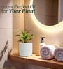 KIA RD White 8 Inch German Polymer Round Plant Container