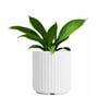 KIA RD White 8 Inch German Polymer Round Plant Container
