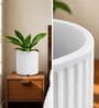 KIA RD White 8 Inch German Polymer Round Plant Container