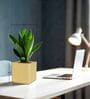 KIA SQ Beige 10 Inch German Polymer Round Plant Container