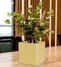 KIA SQ Beige 10 Inch German Polymer Round Plant Container