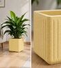 KIA SQ Beige 15 Inch German Polymer Round Plant Container