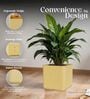 KIA SQ Beige 15 Inch German Polymer Round Plant Container