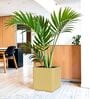 KIA SQ Beige 15 Inch German Polymer Round Plant Container